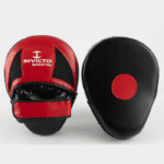 Invicto Punching Mitts