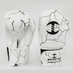 Snowstorm Boxing Gloves