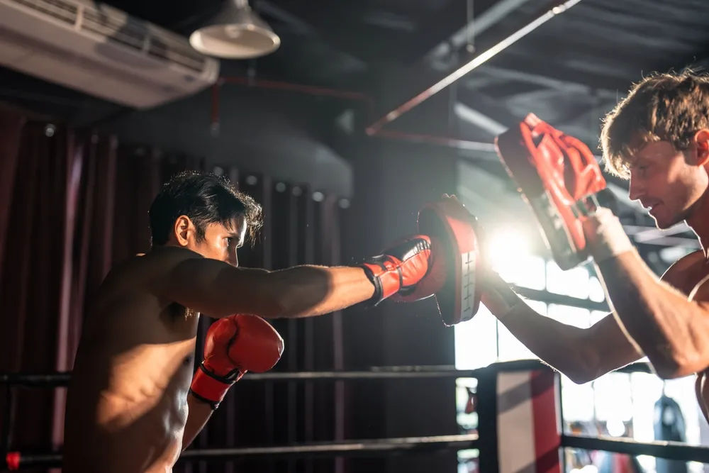 Top 10 Boxing Gloves for Sparring and Training: Finding the Best Fit